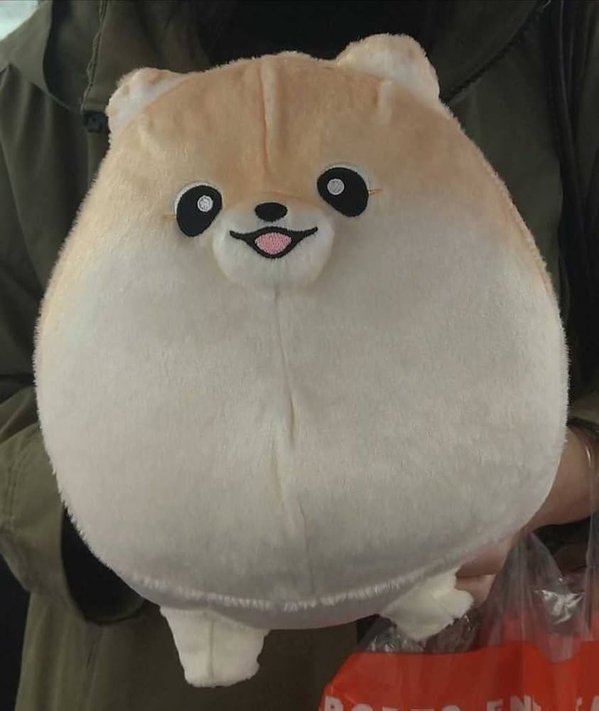 Amazon.co.jp: 限定 ふわふわ ポメのぽぽち ビッグ ぬいぐるみ
